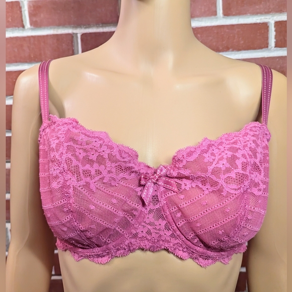 Chantelle Rive Gauche Pink Lace 36DD - Picture 2 of 8